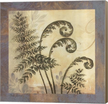 Framed Leaf Botanicals IV Print