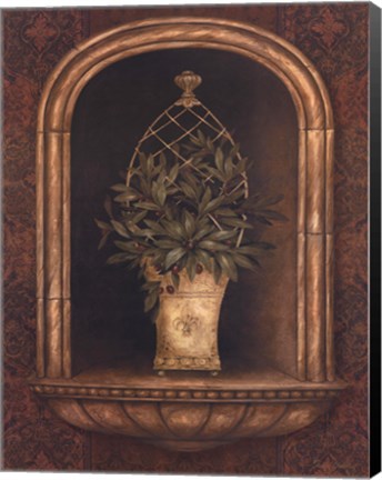 Framed Olive Topiary Niches II Print