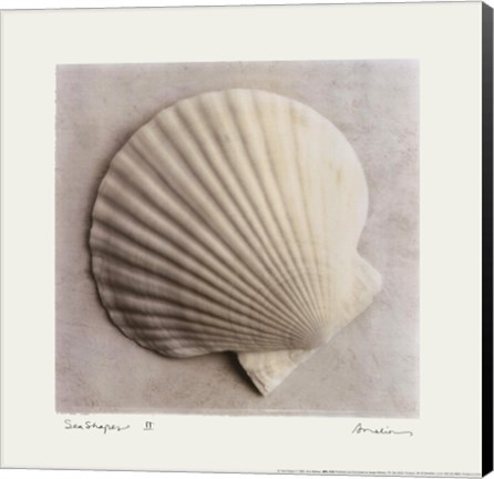 Framed Sea Shapes II Print