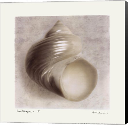 Framed Sea Shapes IV Print