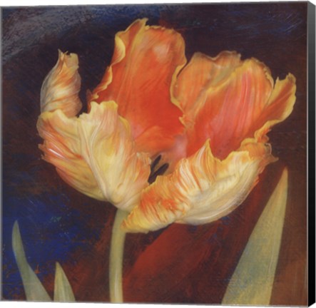 Framed Dusk Tulip I Print