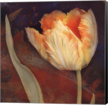 Framed Dusk Tulip II Print