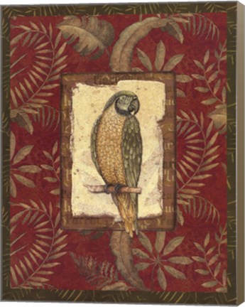 Framed Exotica Parrot Print