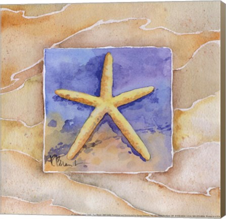 Framed Starfish - Mini Print