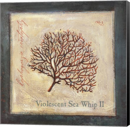 Framed Violescent II Print