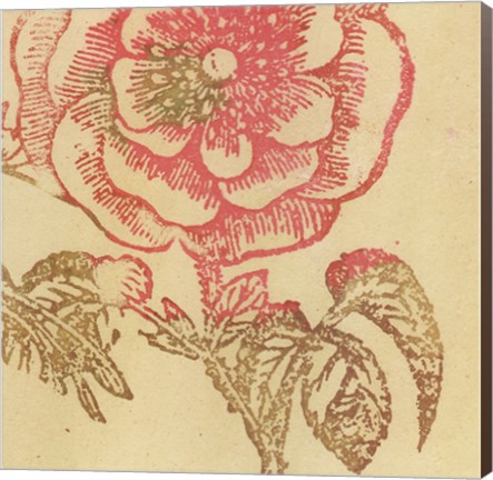 Framed Coral Rose Print