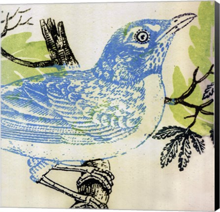 Framed Bluebird Print