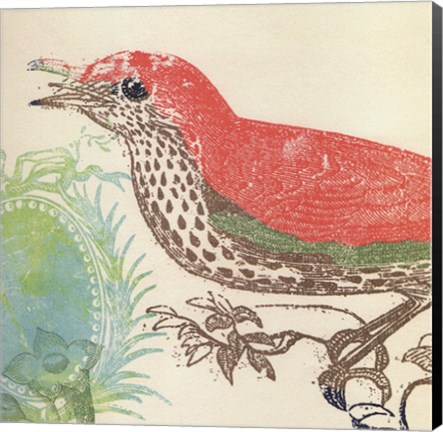 Framed Red Bird Print