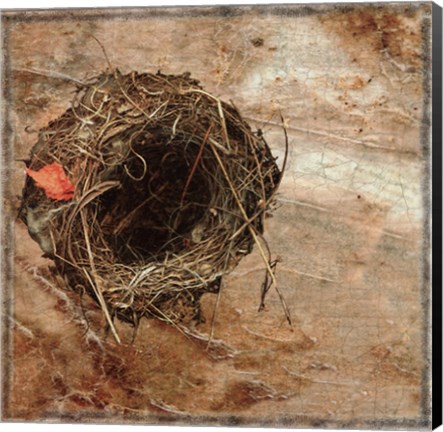 Framed Nest Red Leaf Print