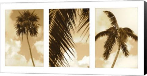 Framed South Beach Palms Print
