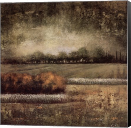 Framed Field at Dawn I Print