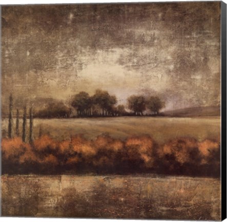 Framed Field at Dawn II Print
