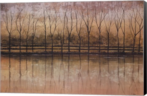 Framed Reflective Waters Print