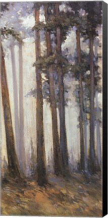 Framed Silver Trees II Print