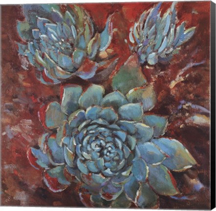 Framed Blue Agave I Print