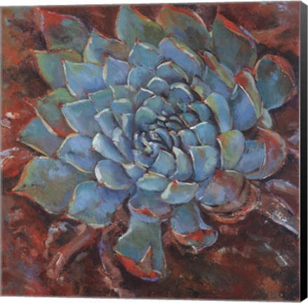 Framed Blue Agave II Print