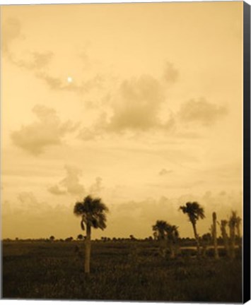 Framed Viera Dusk I Print