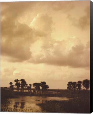 Framed Viera Dusk II Print