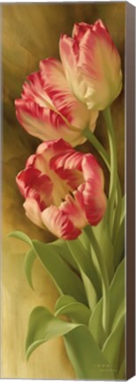 Framed Spring&#39;s Parrot Tulip II Print