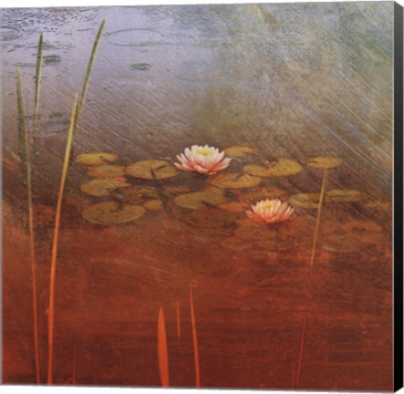 Framed Pond Lilies II Print