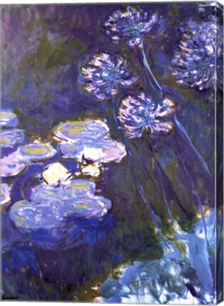 Framed Water Lilies and Agapanthus, 1914-1917 Print