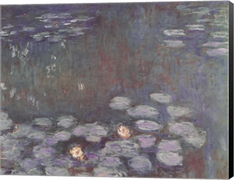 Framed Water Lilies (dark) Print