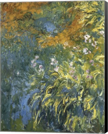 Framed Yellow Iris Print