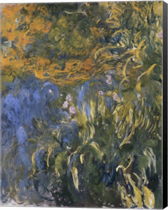 Framed Iris, 1914-1917 Print