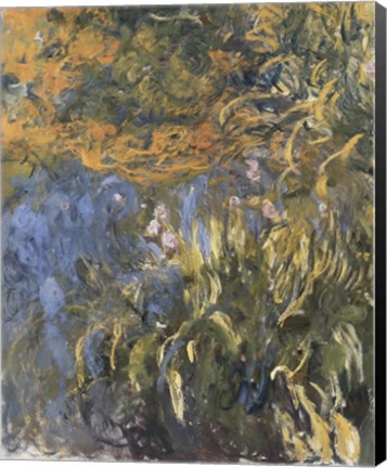 Framed Iris, 1914-1917 Print