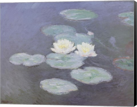 Framed Nympheas Effet du Soir Print