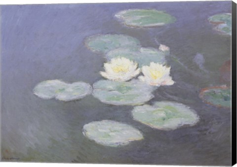 Framed Nympheas Effet du Soir Print