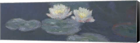 Framed Nymphaeas Print