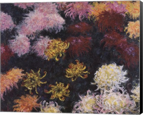 Framed Chrysanthemum, 1897 Print