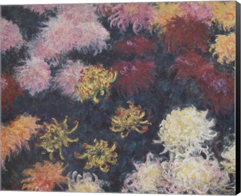 Framed Chrysanthemum, 1897 Print