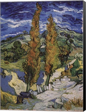 Framed Poplars at Saint-Rmy, c.1889 Print