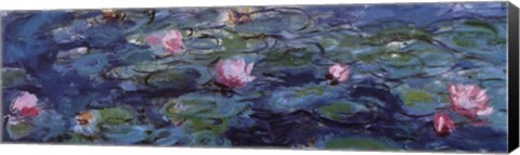 Framed Water Lilies (Detail horizontal) Print