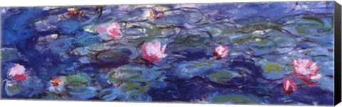 Framed Water Lilies (blue and purple) Print