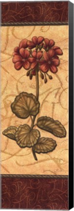 Framed Red Passion Geranium Print