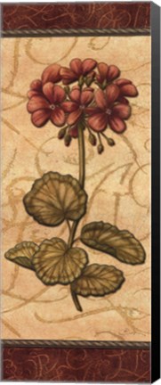 Framed Red Passion Geranium - mini Print