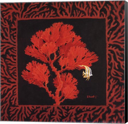 Framed Sea Fan II Print