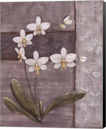 Framed Orchid Shimmer II - mini Print