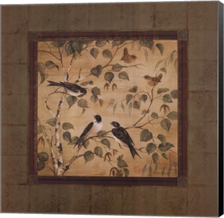 Framed Outdoor Aviary I - CS Print