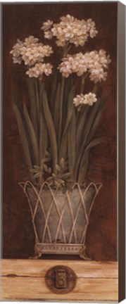 Framed Petit Jardin II - petite Print