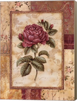 Framed Provence Rose I Print