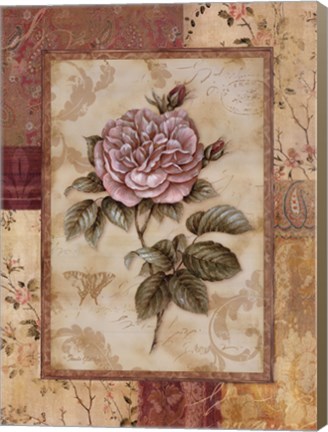 Framed Provence Rose II Print