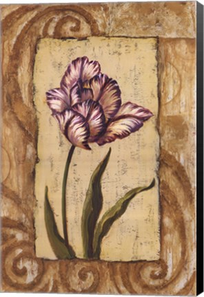 Framed Classic Tulip I Print