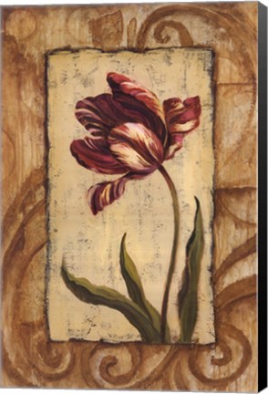 Framed Classic Tulip II Print