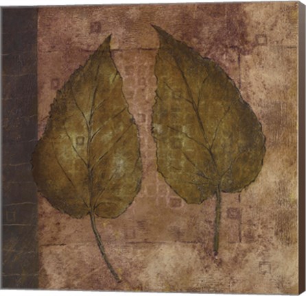 Framed Nature Study 3 Print