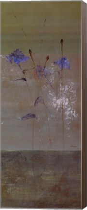 Framed Kimono II - mini - CS Print