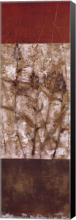 Framed Fresco I - CS Print